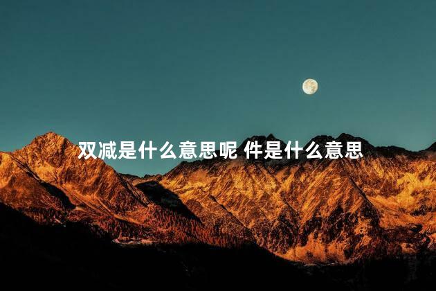 双减是什么意思呢 件是什么意思